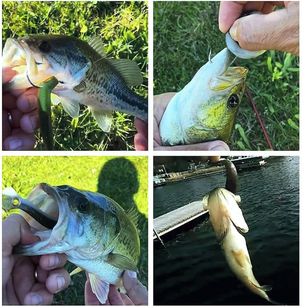 Soft Bionic Fishing Lures - Image 14