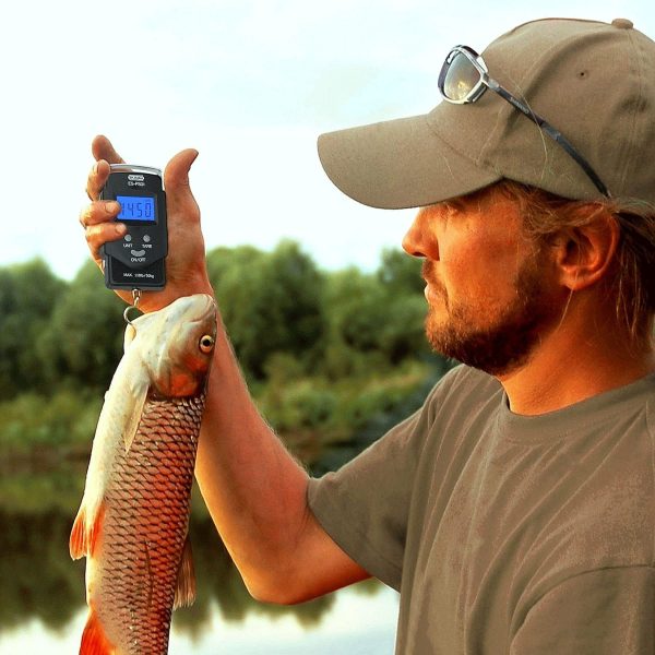 110lb/50kg Electronic Balance Digital Fishing Postal - Image 7